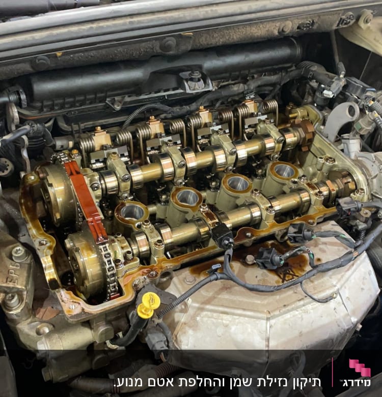 מנוע רכב פתוח עם גלגלי שיניים ומסבים